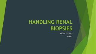 HANDLING RENAL
BIOPSIES
ABDUL QUDDUS
BS-MLT
 
