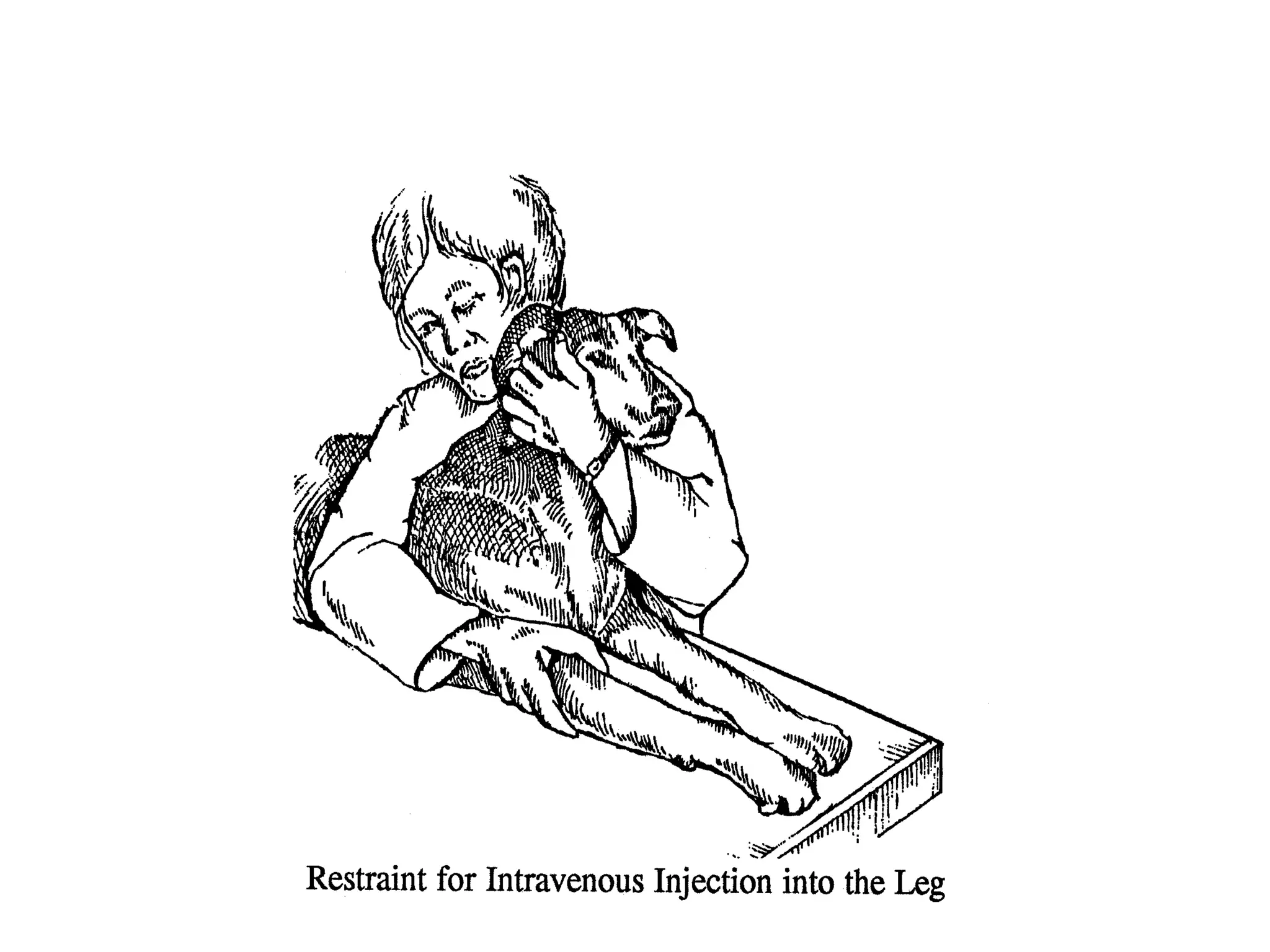 Restraining Dogs Handling_Restraining_Dogs_Cats.pdf