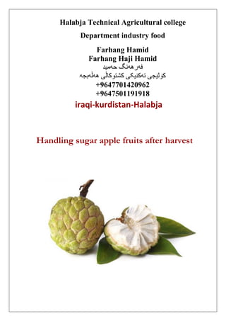 Halabja Technical Agricultural college
Department industry food
Farhang Hamid
Farhang Haji Hamid
‫حەمید‬ ‫فەرهەنگ‬
‫هەڵەبجە‬ ‫کشتوکاڵی‬ ‫تەکنیکی‬ ‫کۆلێجی‬
+9647701420962
+9647501191918
iraqi-kurdistan-Halabja
Handling sugar apple fruits after harvest
 