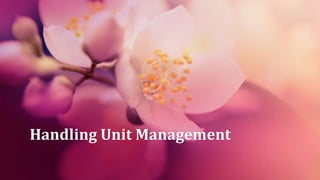 Handling Unit Management
 