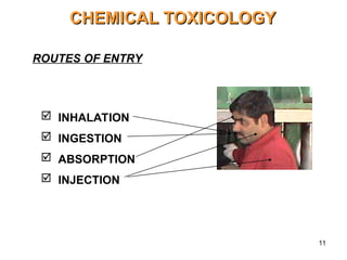 11
CHEMICAL TOXICOLOGY
CHEMICAL TOXICOLOGY
ROUTES OF ENTRY
 INHALATION
 INGESTION
 ABSORPTION
 INJECTION
 