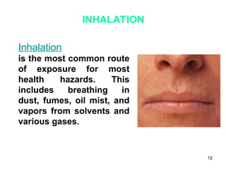 12
INHALATION
Inhalation
is the most common route
of exposure for most
health hazards. This
includes breathing in
dust, fumes, oil mist, and
vapors from solvents and
various gases.
 