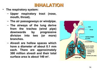 14
INHALATION
INHALATION
• The respiratory system:
– Upper respiratory tract (nose,
mouth, throat).
– The air passageways or windpipe.
– The airways of the lung derive
from the trachea (wind pipe)
downwards by progressive
division into two (or more)
branches.
– Alveoli are hollow spaces which
have a diameter of about 0.1 mm
each. There are approximately
300 million alveoli and their total
surface area is about 140 m2
.
 