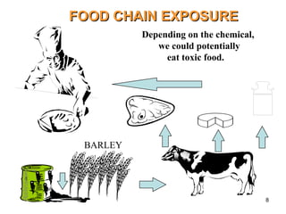 8
FOOD CHAIN EXPOSURE
FOOD CHAIN EXPOSURE
BARLEY
Depending on the chemical,
we could potentially
eat toxic food.
 