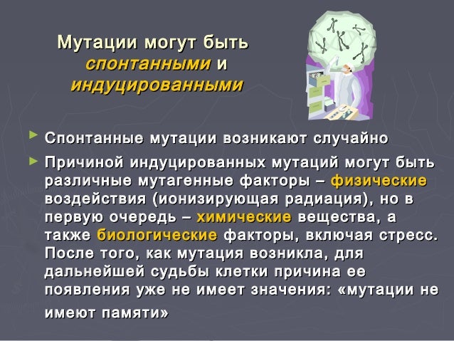 Значение спонтанных мутаций в том что они. Значение спонтанных мутаций в том что они. Спонтанные и индуцированные мутации. Спонтанные и индуцированные мутации. Причины индуцированных мутаций.