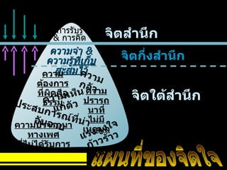 แผนที่ของจิตใจ จิตสำนึก จิตกึ่งสำนึก จิตใต้สำนึก การรับรู้ &  การคิด ความจำ  & ความรู้ ที่เก็บสะสมไว้ ความต้องการ ที่ผิดศีลธรรม ความกลัว ความเห็นแก่ตัว ความปรารถนาที่ไม่มีเหตุผล ประสบการณ์ที่น่าอับอาย ความปรารถนาทางเพศ ที่ไม่ได้รับการยอมรับ แรงจูงใจก้าวร้าวรุนแรง 