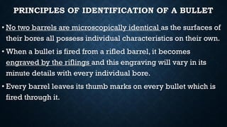 Comprehensive Forensic Ballistics: Identification and Crime Scene ...