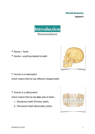 Dental Anatomy
Lecture 1
Introduction
Nomenclature
• Dense = Tooth
• Dental = anything related to teeth
• Human is a heterodent,
which means that he has di
ff
erent-shaped teeth.
• Human is a diphyodont,
which means that he has two sets of teeth ;
1. Deciduous teeth (Primary teeth).
2. Permanent teeth (Secondary teeth).
NOMENCLATURE 1
 