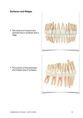 Handout, Lecture 2.pdf