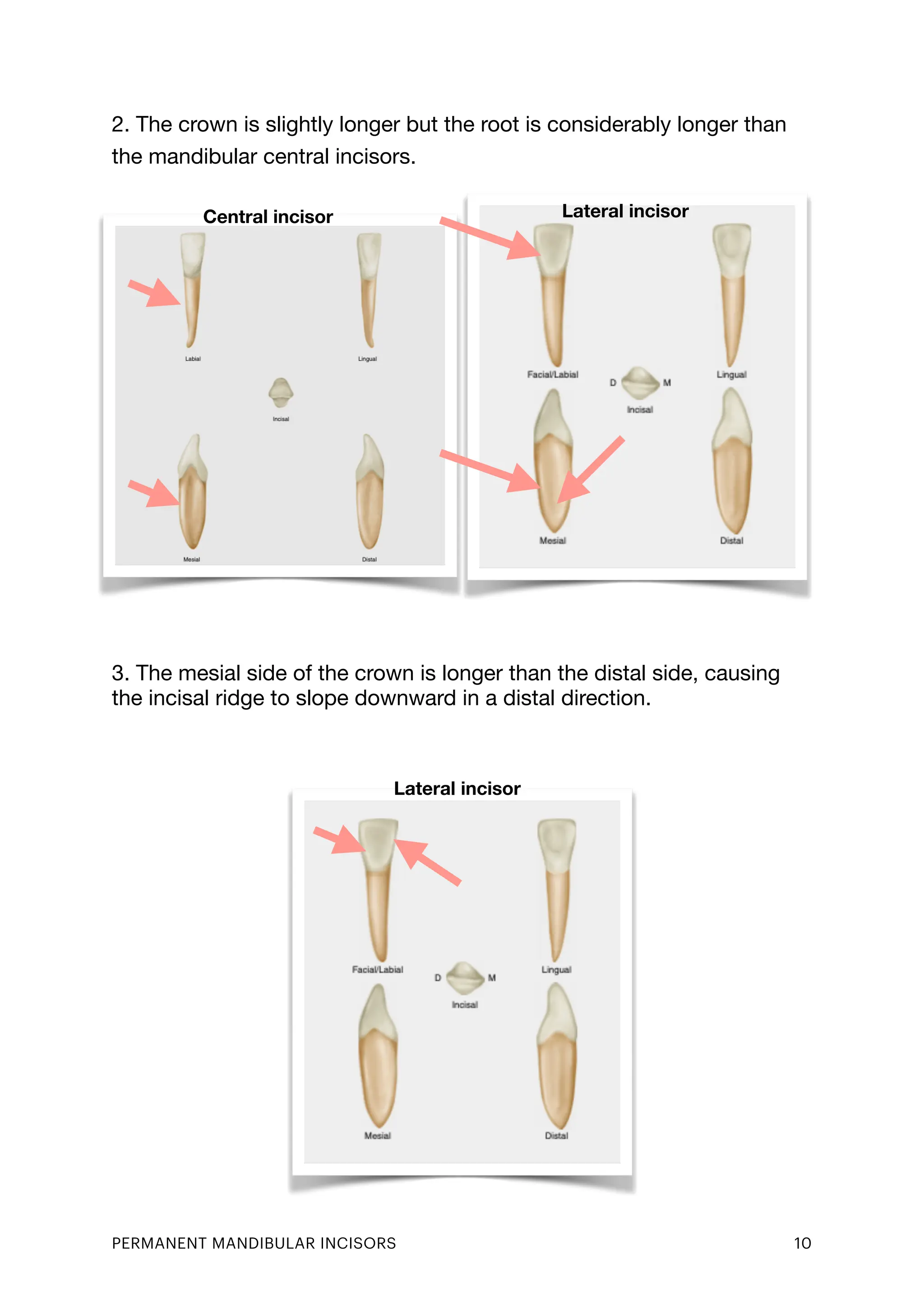 Handout, Lecture 6.pdf