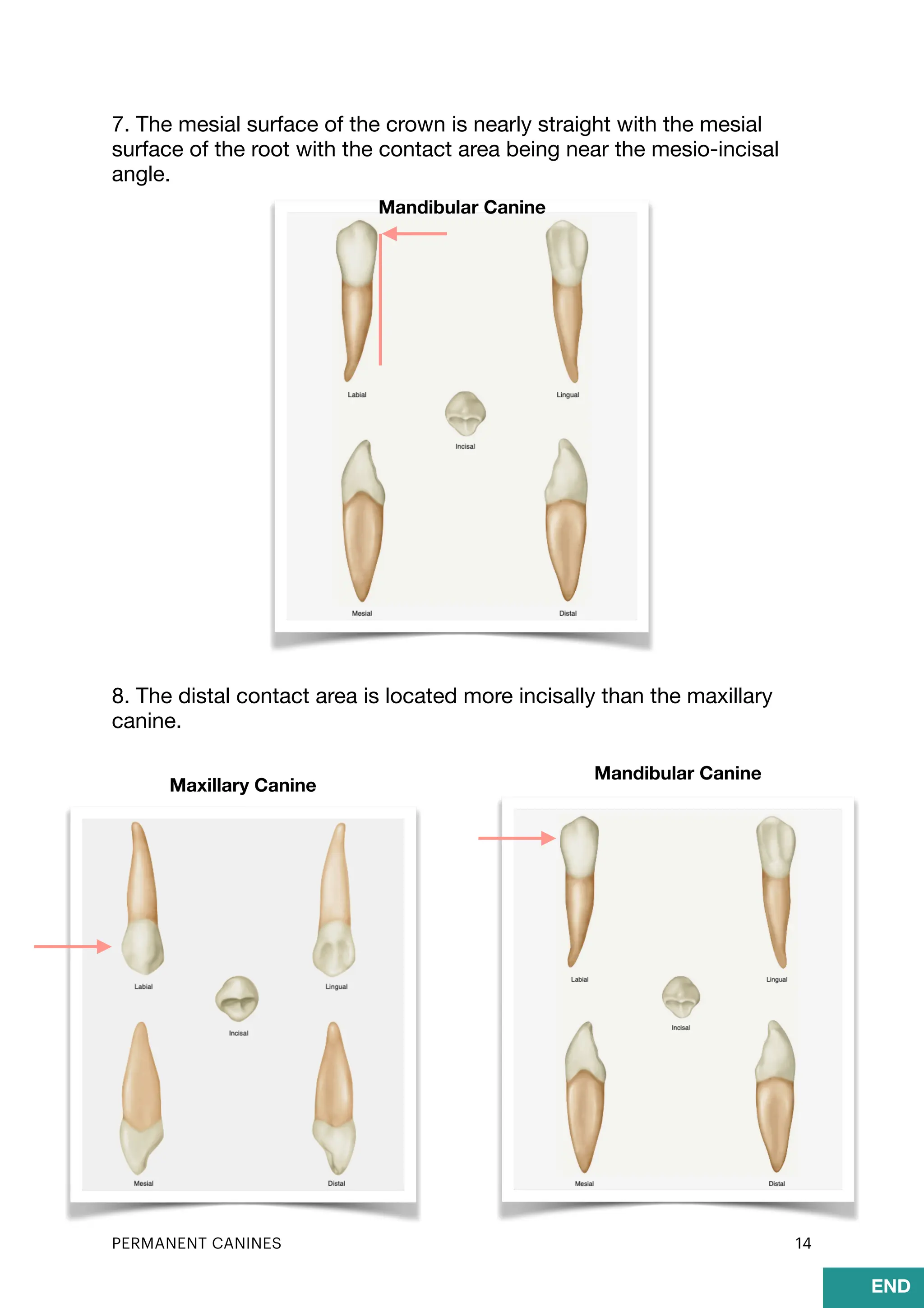 handout-lecture-7-pdf