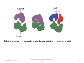 Jumat, 25 April 2014
pengembangan bahan ajar biologi SMA
kelas XII
5
Hasilsubstrat
Enzim
Substrat + enzim kompleks enzim dengan substrat enzim + produk
 