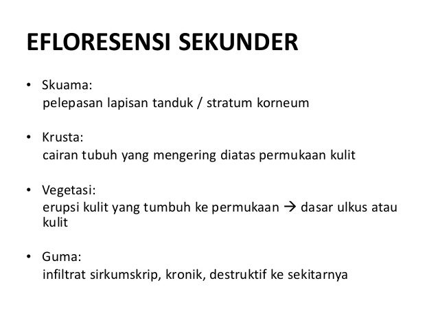 Handout Morfologi Dan Terminologi Penyakit Kulit 1