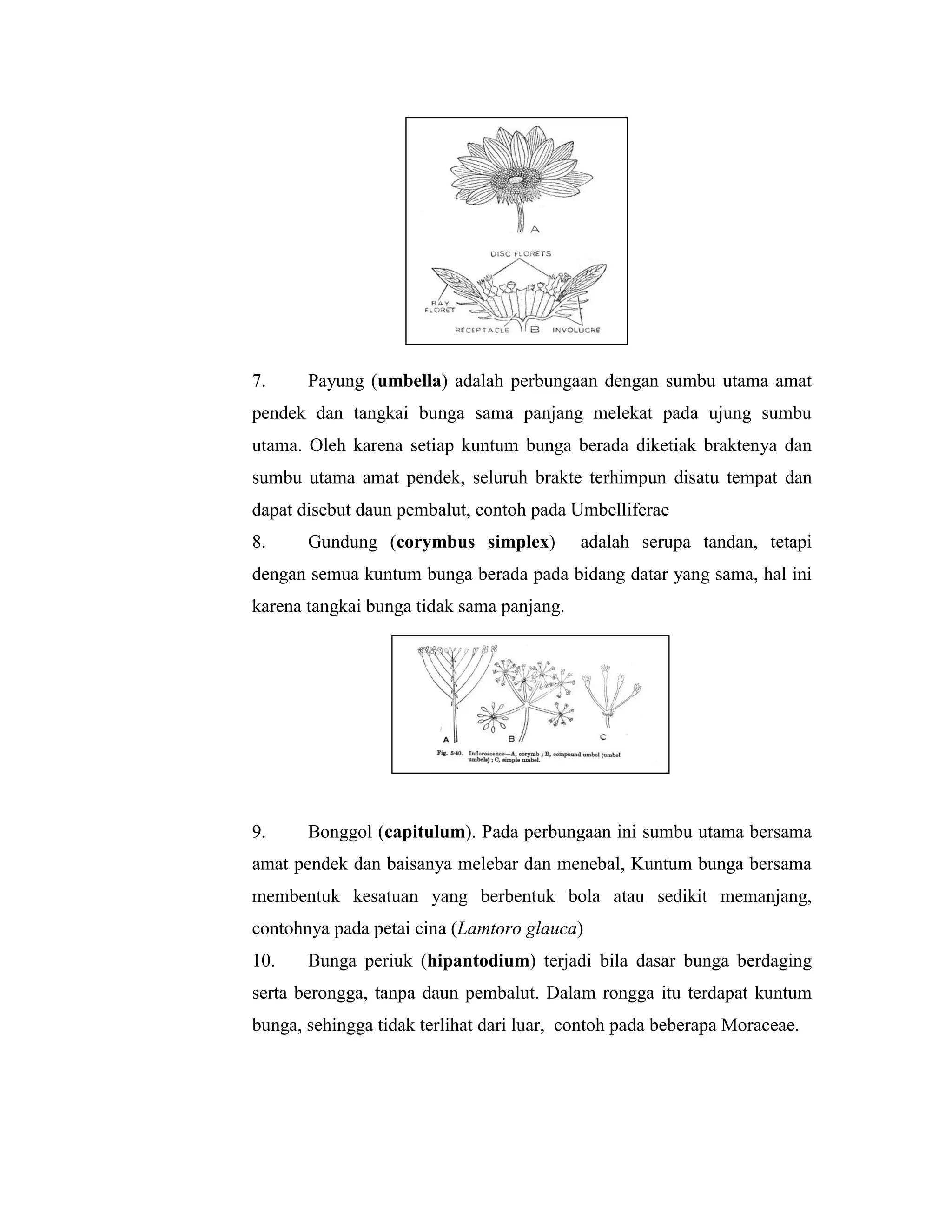 Handout mortum 3 | PDF