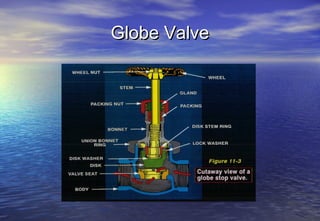 Globe Valve
 