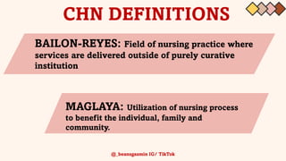 Community Health Nursing PUBLIC HEALTH NURSE | PDF