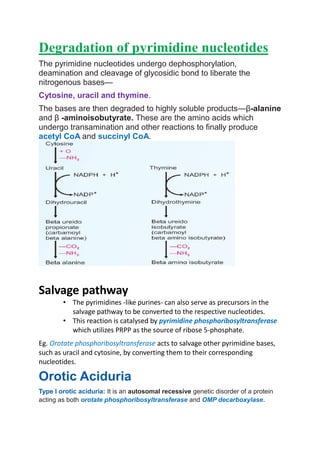 Degradation of pyrimidine nucleotides
The pyrimidine nucleotides undergo dephosphorylation,
deamination and cleavage of glycosidic bond to liberate the
nitrogenous bases—
Cytosine, uracil and thymine.
The bases are then degraded to highly soluble products—β-alanine
and β -aminoisobutyrate. These are the amino acids which
undergo transamination and other reactions to finally produce
acetyl CoA and succinyl CoA.
Salvage pathway
• The pyrimidines -like purines- can also serve as precursors in the
salvage pathway to be converted to the respective nucleotides.
• This reaction is catalysed by pyrimidine phosphoribosyltransferase
which utilizes PRPP as the source of ribose 5-phosphate.
Eg. acts to salvage other pyrimidine bases,Orotate phosphoribosyltransferase
such as uracil and cytosine, by converting them to their corresponding
nucleotides.
Orotic Aciduria
Type I orotic aciduria: It is an autosomal recessive genetic disorder of a protein
acting as both orotate phosphoribosyltransferase and OMP decarboxylase.
 