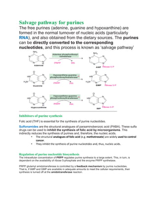 Salvage pathway for purines
The free purines (adenine, guanine and hypoxanthine) are
formed in the normal turnover of nucleic acids (particularly
RNA), and also obtained from the dietary sources. The purines
can be directly converted to the corresponding
nucleotides, and this process is known as ‘salvage pathway’
Inhibitors of purine synthesis
Folic acid (THF) is essential for the synthesis of purine nucleotides.
Sulfonamides are the structural analogues of paraaminobenzoic acid (PABA). These sulfa
drugs can be used to inhibit the synthesis of folic acid by microorganisms. This
indirectly reduces the synthesis of purines and, therefore, the nucleic acids.
• The structural analogues of folic acid (e.g. methotrexate) are widely used to control
cancer.
• They inhibit the synthesis of purine nucleotides and, thus, nucleic acids.
Regulation of purine nucleotide biosynthesis
The intracellular concentration of PRPP regulates purine synthesis to a large extent. This, in turn, is
dependent on the availability of ribose 5-phosphate and the enzyme PRPP synthetase.
PRPP glutamyl amidotransferase is controlled by a feedback mechanism by purine nucleotides.
That is, if AMP and GMP are available in adequate amounts to meet the cellular requirements, their
synthesis is turned off at the amidotransferase reaction.
 