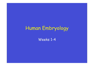 Human Embryology
Weeks 1-4
 