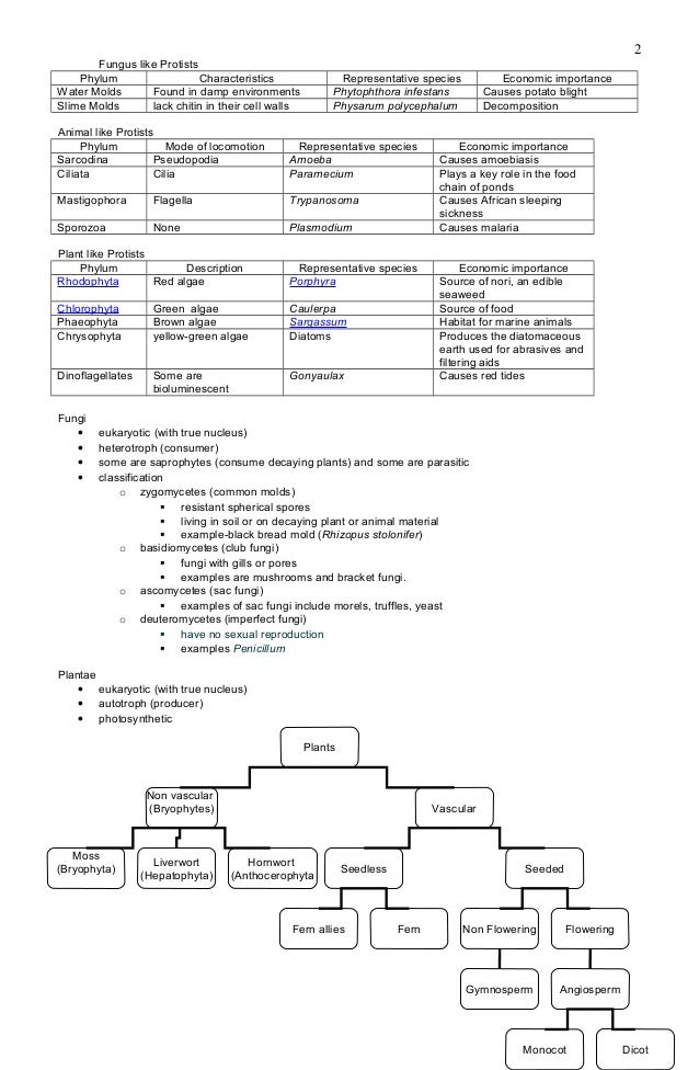 Handouts For Biology