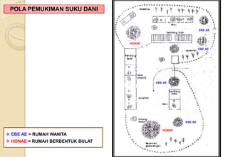 POLA PEMUKIMAN SUKU DANI
 EBE AE = RUMAH WANITA
 HONAE = RUMAH BERBENTUK BULAT
EBE AE
HONAE
EBE AE
EBE AE
HONAE
EBE AE
 