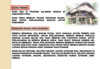 SUKU ASLI DI PROPINSI SULAWESI TENGAH DI
KABUPATEN POSO.
SUKU WANA MEMILIKI TRADISI PENATAAN RUANG,
BAIK UNTUK PERLADANGAN MAUPUN UNTUK
PEMUKIMAN
SUKU WANA
MEREKA MENGENAL DUA MACAM HUTAN, YAITU PANGALE (HUTAN PRIMER) DAN
YOPO (HUTAN SEKUNDER). UNTUK PERLADANGAN, MEREKA MEMILIH PANGALE
DENGAN ALASAN BELUM ADA YANG MEMILIKI DAN TANAHNYA SUBUR. UNTUK
PERLADANGAN INI MEREKA MEMILIH AREAL YANG DEKAT DENGAN SUMBER AIR.
SETELAH MEMBUKA AREAL PERLADANGAN, MEREKA MEMBUAT RUMAH DAN PAGAR
LADANG DARI KAYU HASIL TEBANGAN ATAU PAGAR HIDUP. MEREKA MENATA RUANG
LADANG SESUAI DENGAN JENIS TANAMAN YANG DITANAM.
ENAM BULAN PERTAMA, SELURUH BIDANG LADANG DITANAMI PADI, SEDANGKAN DI
BAGIAN PINGGIRNYA DITANAMI PISANG. TIGA BULAN BERIKUTNYA, SELURUH BIDANG
LADANG DITANAMI JAGUNG, SEDANGKAN DISEKITAR RUMAH DITANAMI UMBI-
UMBIAN.
PENATAAN RUANG PERLADANGAN
 