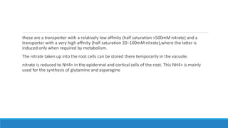 these are a transporter with a relatively low afﬁnity (half saturation >500mM nitrate) and a
transporter with a very high afﬁnity (half saturation 20–100mM nitrate),where the latter is
induced only when required by metabolism.
The nitrate taken up into the root cells can be stored there temporarily in the vacuole.
nitrate is reduced to NH4+ in the epidermal and cortical cells of the root. This NH4+ is mainly
used for the synthesis of glutamine and asparagine
 