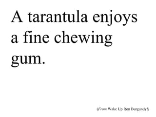 A tarantula
enjoys a fine
chewing gum.
(From Wake Up Ron Burgundy!)
 
