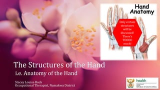 The Structures of the Hand 
i.e. Anatomy of the Hand 
Stacey Louisa Bock 
Occupational Therapist, Namakwa District 
Only certain 
structures 
will be 
discussed! 
There’s 
TOOOO 
much! 
 