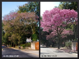 18/08/2012 13:1318/09/2016 17:20
 