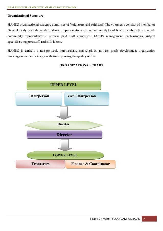 Small Non Profit Organizational Chart