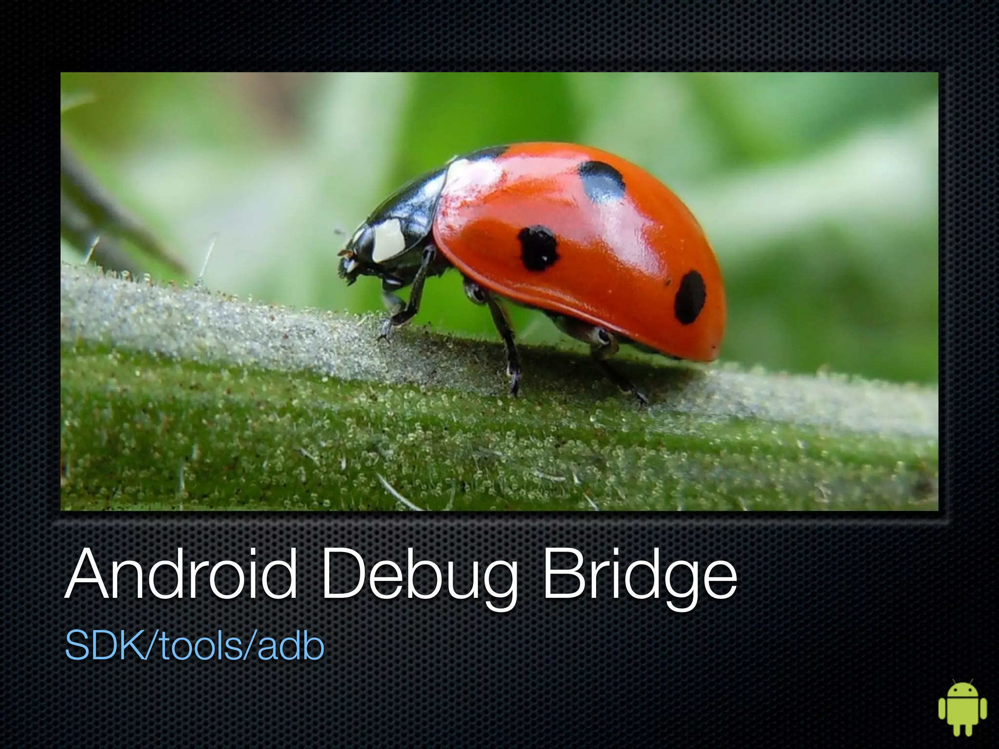 Android Debug Bridge
SDK/tools/adb
 