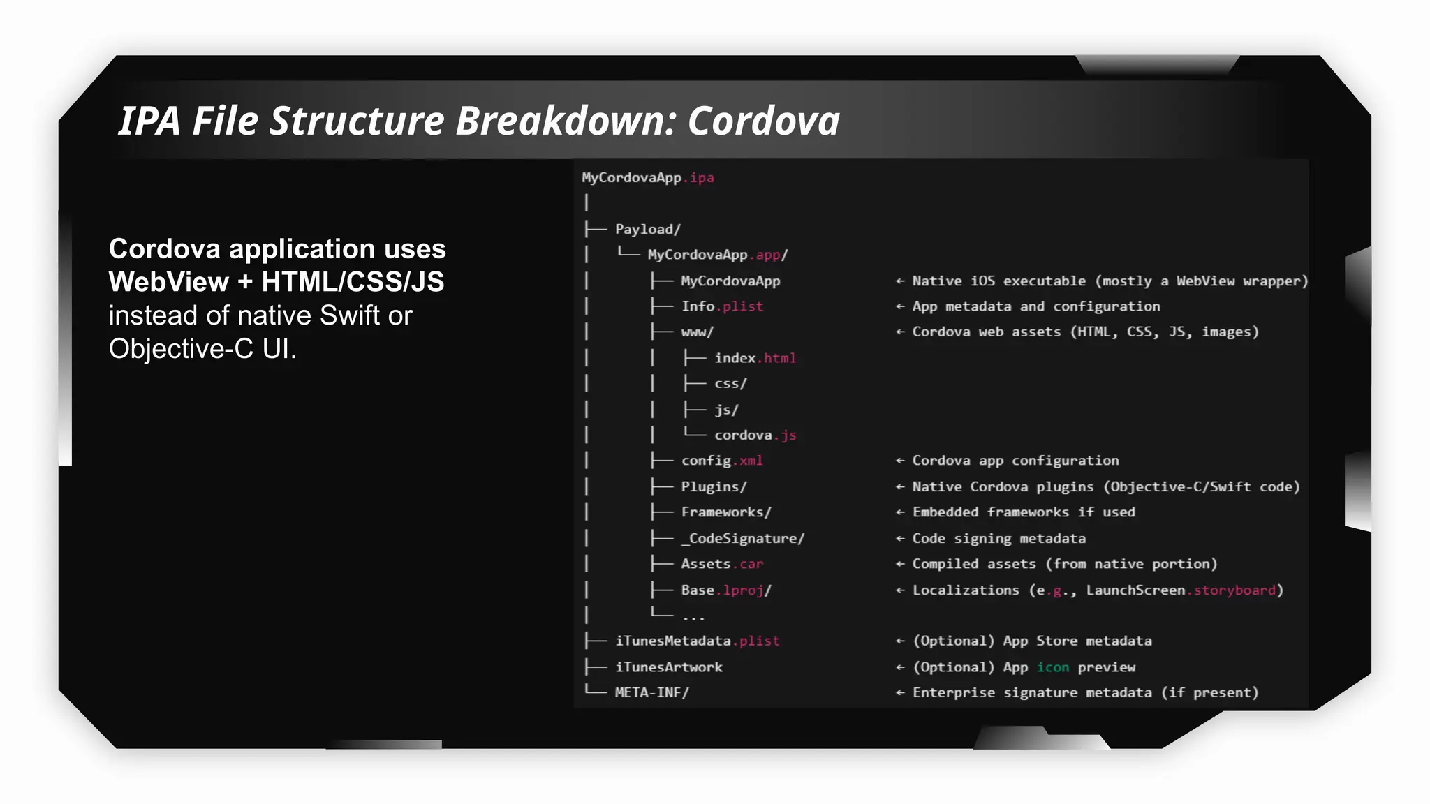 IPA File Structure Breakdown: Cordova
Cordova application uses
WebView + HTML/CSS/JS
instead of native Swift or
Objective-C UI.
 