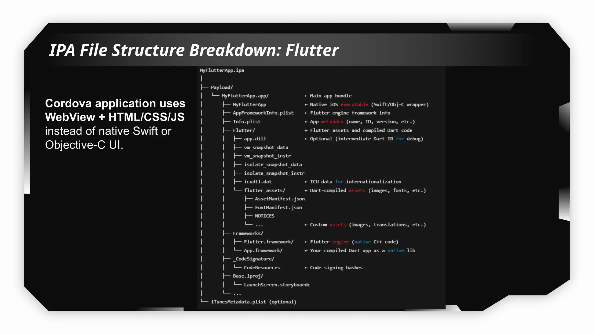 IPA File Structure Breakdown: Flutter
Cordova application uses
WebView + HTML/CSS/JS
instead of native Swift or
Objective-C UI.
 