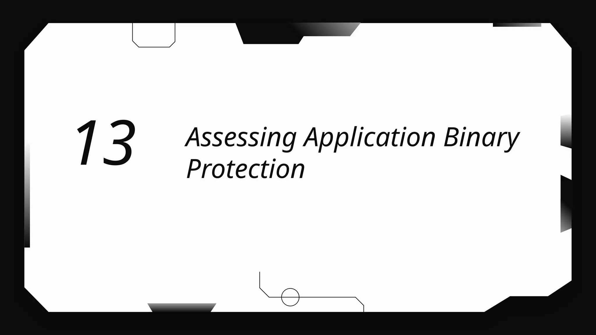 Assessing Application Binary
Protection
13
 