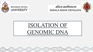 ISOLATION OF
GENOMIC DNA
 