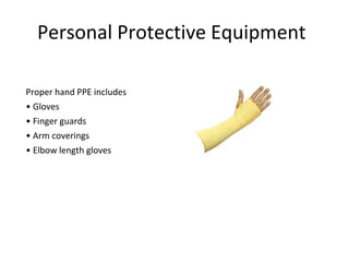 Personal Protective Equipment
Proper hand PPE includes
• Gloves
• Finger guards
• Arm coverings
• Elbow length gloves
 