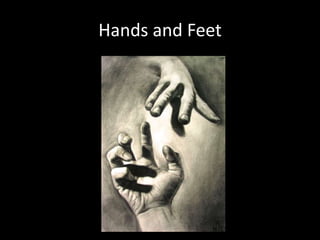 Hands and Feet
 
