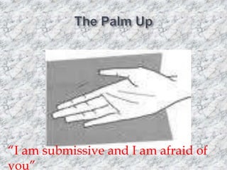 “I am submissive and I am afraid of
you”

 