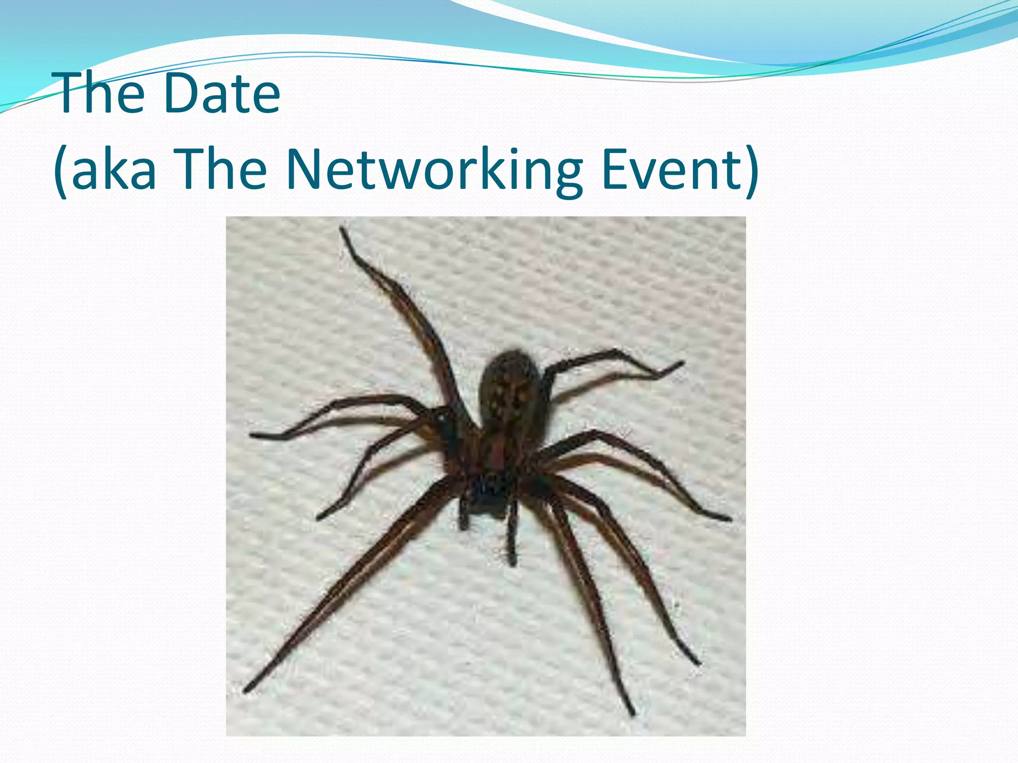 The Date
(aka The Networking Event)
 