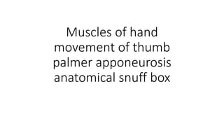 Muscles of hand
movement of thumb
palmer apponeurosis
anatomical snuff box
 