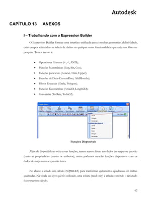 62 
CAPÍTULO 13 ANEXOS 
I – Trabalhando com o Expression Builder 
O Expression Builder fornece uma interface unificada para consultar geometrias, definir labels, criar campos calculados na tabela de dados ou qualquer outra funcionalidade que exija um filtro ou pesquisa. Temos acesso a: 
 Operadores Comuns (+, <, AND); 
 Funções Matemáticas (Exp, Sin, Cos); 
 Funções para texto (Concat, Trim, Upper); 
 Funções de Data (CurrentData, AddMonths); 
 Filtros Espaciais (Circle, Polygon); 
 Funções Geométricas (Area2D, Length2D); 
 Conversão (ToDate, ToInt32). 
Funções Disponíveis 
Além de disponibilizar todas essas funções, temos acesso direto aos dados do mapa em questão (tanto as propriedades quanto os atributos), assim podemos mesclar funções disponíveis com os dados de mapa numa expressão única. 
No abaixo é criado um cálculo (SQMILES) para tranformar quilômetros quadrados em milhas quadradas. Na tabela do layer que foi utilizado, uma coluna (read-only) é criada contendo o resultado do respectivo cálculo. 
 