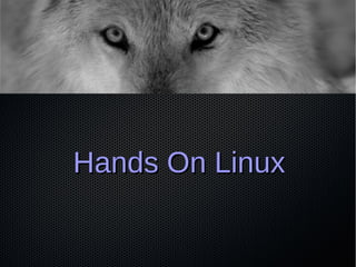 Hands On LinuxHands On Linux
 