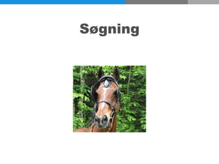 Søgning
 