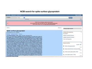 NCBI search for spike surface glycoprotein
 