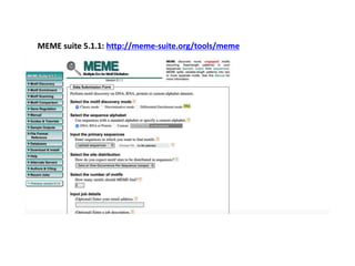 MEME suite 5.1.1: http://meme-suite.org/tools/meme
 
