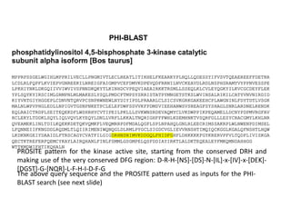 PHI-BLAST
PROSITE pattern for the kinase active site, starting from the conserved DRH and
making use of the very conserved DFG region: D-R-H-[NS]-[DS]-N-[IL]-x-[IV]-x-[DEK]-
[DGST]-G-[NQR]-L-F-H-I-D-F-G
The above query sequence and the PROSITE pattern used as inputs for the PHI-
BLAST search (see next slide)
 