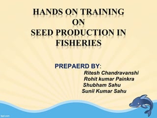 HANDS ON TRAINING
ON
SEED PRODUCTION IN
FISHERIES
PREPAERD BY:
Ritesh Chandravanshi
Rohit kumar Painkra
Shubham Sahu
Sunil Kumar Sahu
 