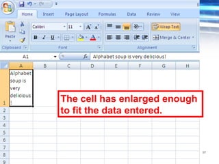97
The cell has enlarged enough
to fit the data entered.
 