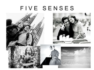 F I V E  S E N S E S 